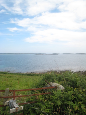 IMG_0178 (07-07-2013 07:34)