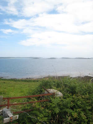 IMG_0179 (07-07-2013 07:34)