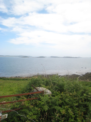 IMG_0180 (07-07-2013 07:34)