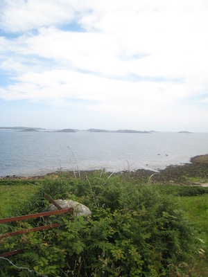 IMG_0181 (07-07-2013 07:34)