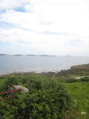 IMG_0182 (07-07-2013 07:34)