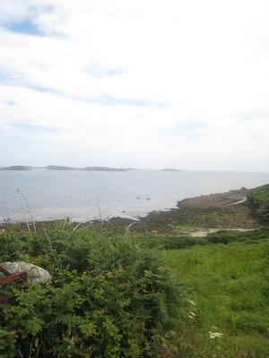 IMG_0183 (07-07-2013 07:34)