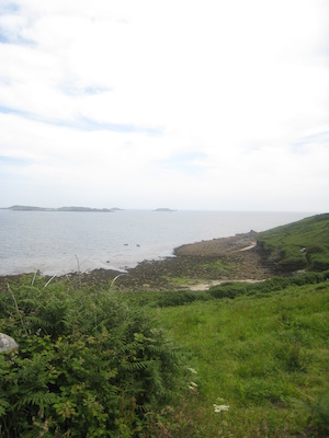 IMG_0184 (07-07-2013 07:34)