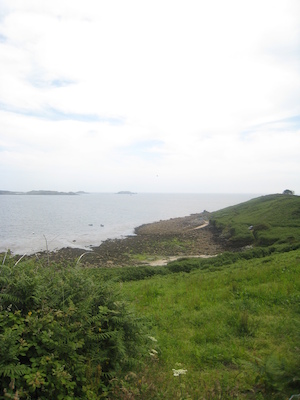 IMG_0185 (07-07-2013 07:34)