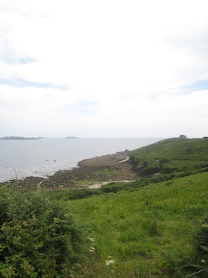 IMG_0186 (07-07-2013 07:34)