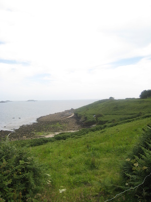 IMG_0187 (07-07-2013 07:34)