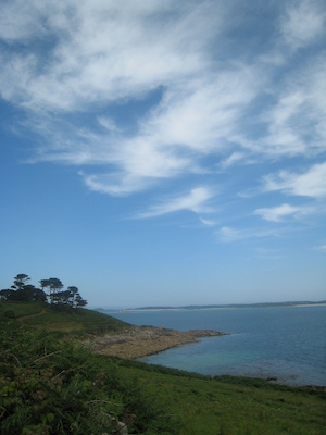 IMG_0188 (07-07-2013 07:34)