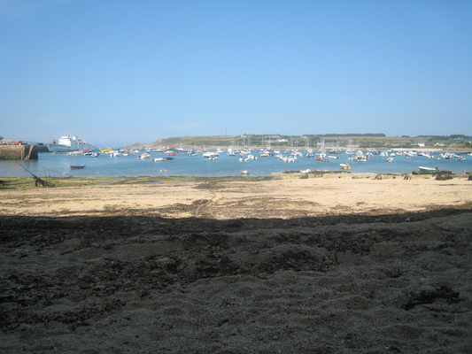 IMG_0193 (07-09-2013 10:03)