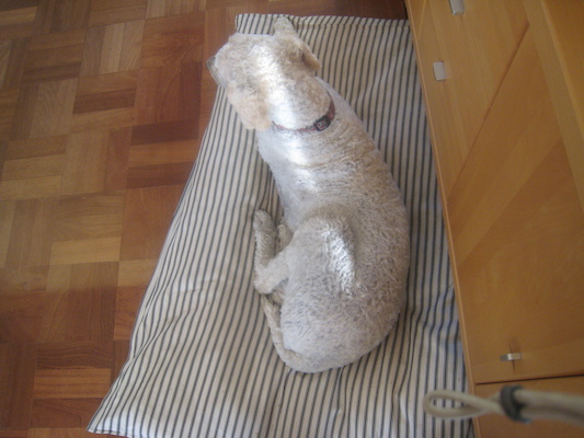 IMG_0211 (07-09-2013 14:25)