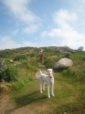 IMG_0216 (07-11-2013 04:40)