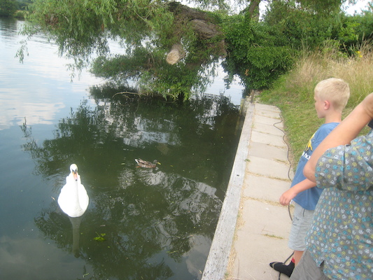 IMG_0234 (07-17-2013 10:01)