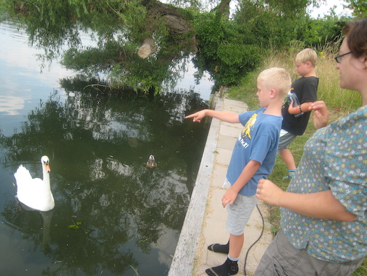 IMG_0235 (07-17-2013 10:01)