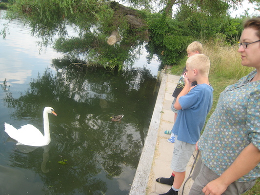 IMG_0236 (07-17-2013 10:02)