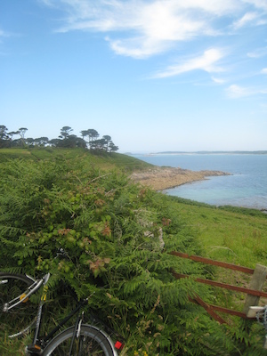 STA_0165 (07-07-2013 07:33)