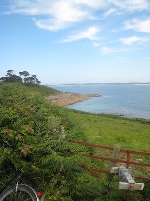 STC_0167 (07-07-2013 07:34)