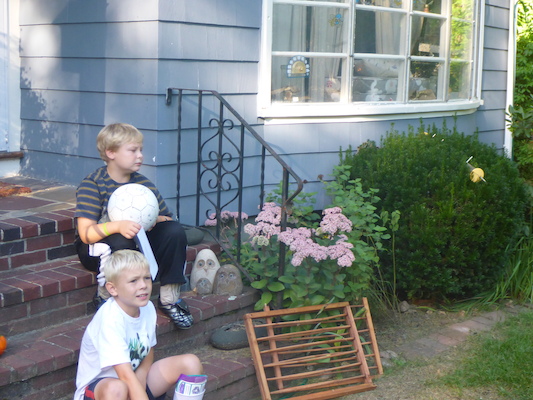 P1000013 (09-06-2013 16:13)