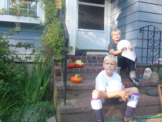 P1000015 (09-06-2013 16:15)