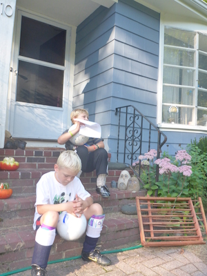 P1000016 (09-06-2013 16:15)