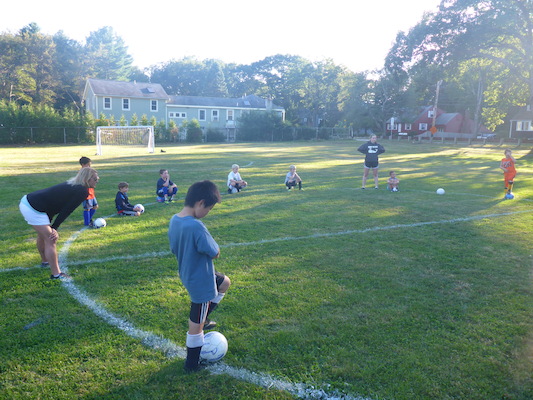 P1000020 (09-06-2013 16:34)