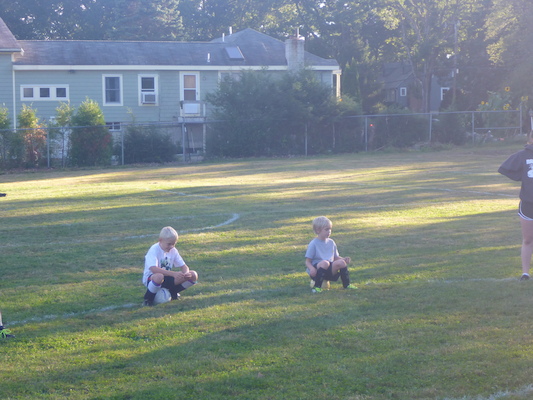 P1000021 (09-06-2013 16:35)