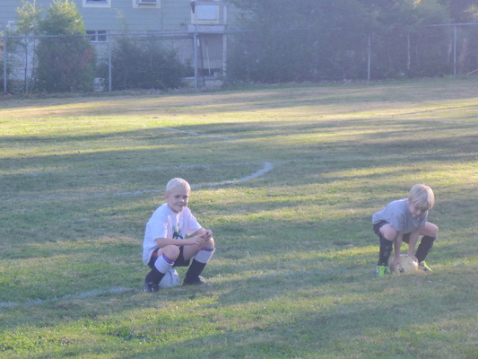 P1000022 (09-06-2013 16:35)