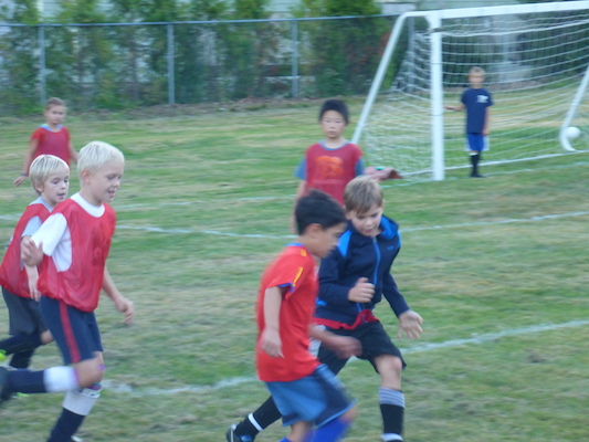 P1000028 (09-06-2013 17:20)