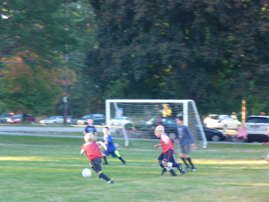 P1000030 (09-06-2013 17:21)