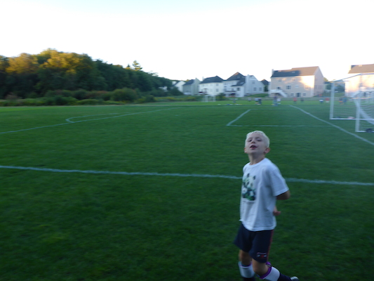 P1000031 (09-06-2013 17:48)