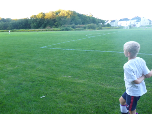 P1000032 (09-06-2013 17:48)