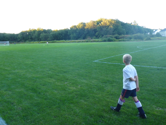 P1000033 (09-06-2013 17:48)