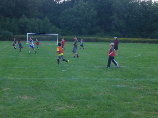 P1000041 (09-06-2013 17:57)