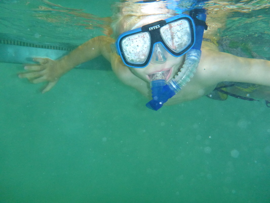 P1000043 (09-06-2013 18:37)