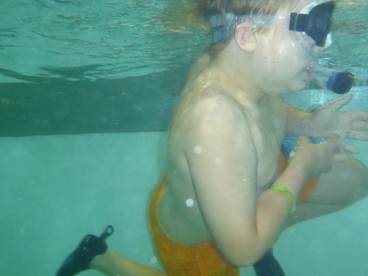 P1000046 (09-06-2013 18:38)