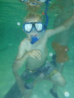 P1000048 (09-06-2013 18:38)