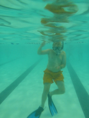 P1000056 (09-06-2013 18:41)