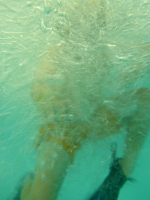 P1000059 (09-06-2013 18:47)