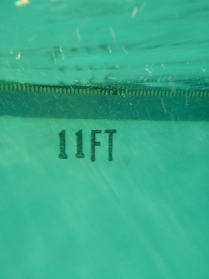 P1000061 (09-06-2013 18:47)