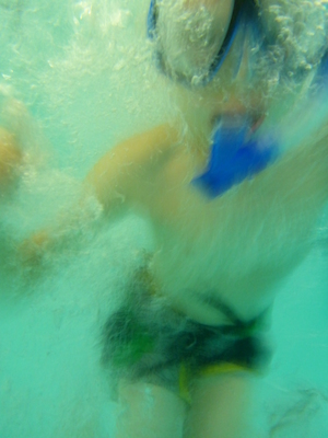 P1000063 (09-06-2013 18:47)