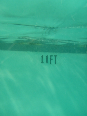 P1000064 (09-06-2013 18:47)