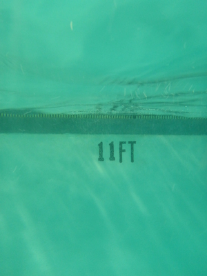 P1000066 (09-06-2013 18:47)