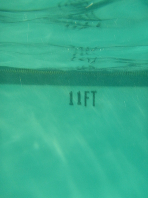 P1000067 (09-06-2013 18:47)