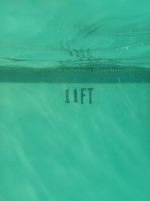 P1000068 (09-06-2013 18:47)