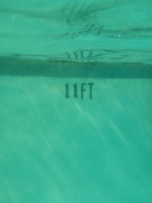 P1000069 (09-06-2013 18:47)