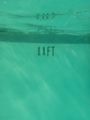 P1000070 (09-06-2013 18:47)