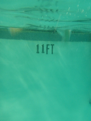 P1000071 (09-06-2013 18:47)