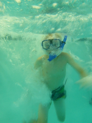 P1000073 (09-06-2013 18:47)