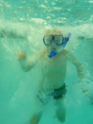 P1000074 (09-06-2013 18:47)