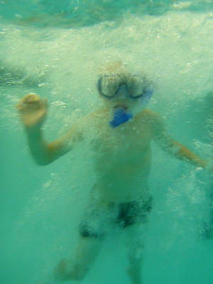 P1000075 (09-06-2013 18:47)