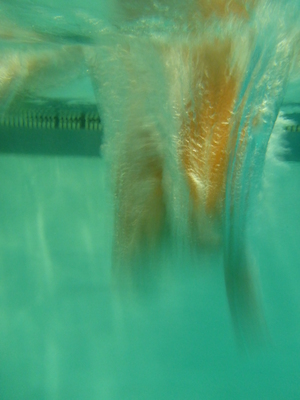 P1000076 (09-06-2013 18:56)