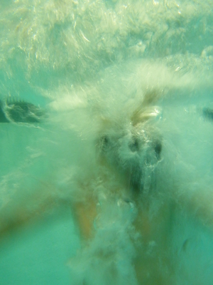 P1000078 (09-06-2013 18:56)